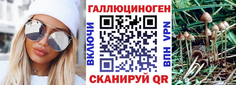 МЕГА сайт  Калязин  Псилоцибиновые грибы GOLDEN TEACHER 